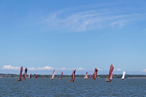 Zeesboot Regatta