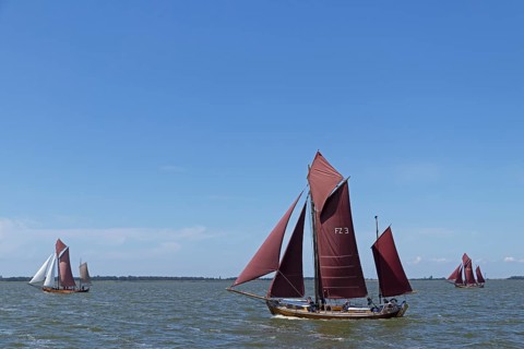 Zeesboot Regatta