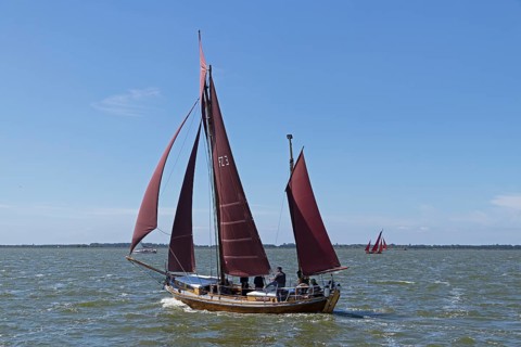 Zeesboot Regatta