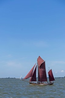 Zeesboot Regatta