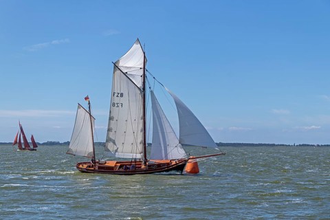 Zeesboot Regatta