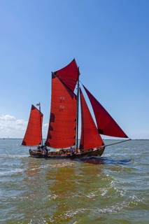 Zeesboot Regatta