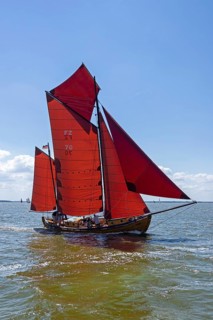 Zeesboot Regatta