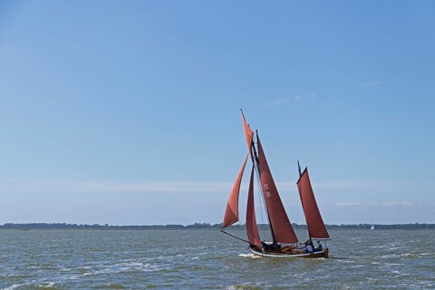 Zeesboot Regatta