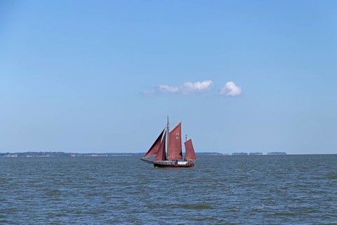 Zeesboot Regatta