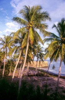 Kovalam