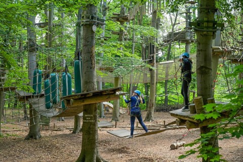 Climbing park with rope course at Telegrafenberg