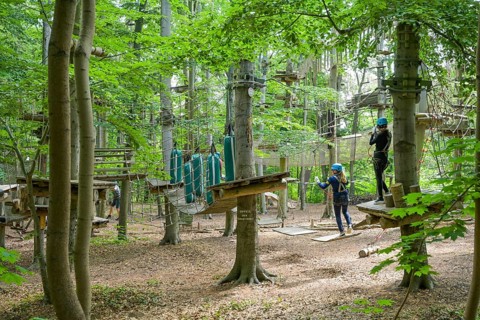 Climbing park with rope course at Telegrafenberg