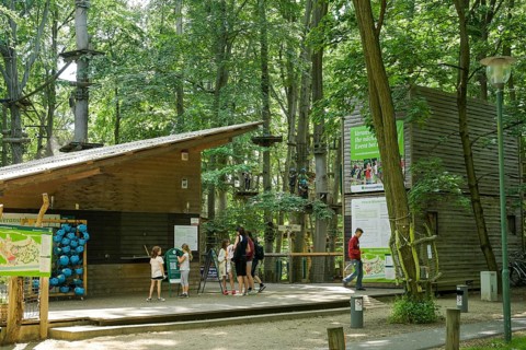 Climbing park with rope course at Telegrafenberg