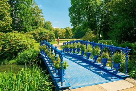 Fuchsia Bridge