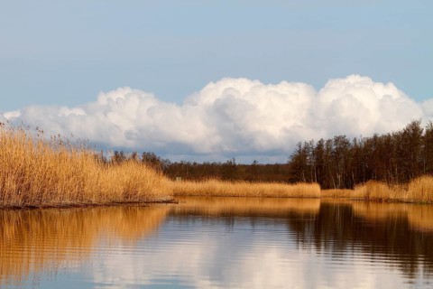 Evening mood on the river