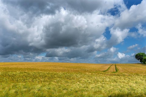 Rain clouds