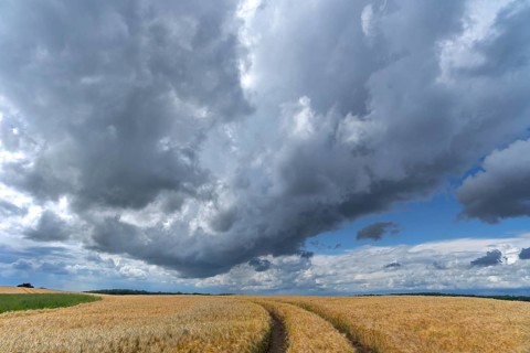Rain clouds
