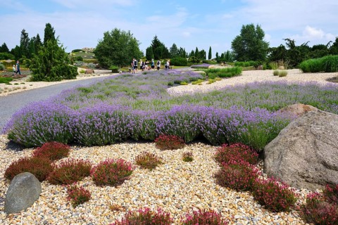Nochten Lusatian Erratic Block Park