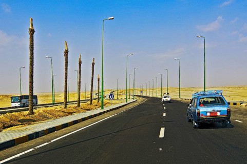 Palm trees and street lamps on the road between Al Quseir and Hurghada