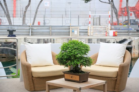 Seating on the aft deck of a motor yacht at the race track