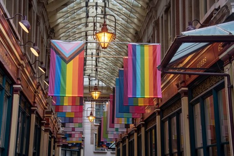 Rainbow Flags