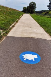 Cycle path on the dyke