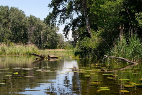 Alluvial landscape
