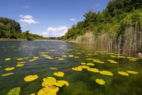Alluvial landscape
