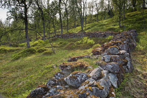 Mossy boulder wall