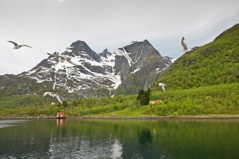 Fjord landscape