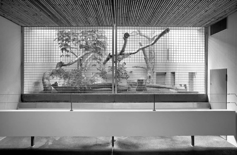 Interior view of predator cage