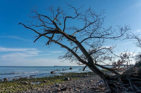 Coastal landscape near Lietzow on the island of Ruegen