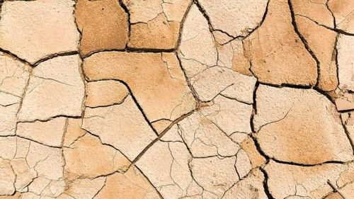 Parched soil