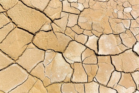 Parched soil