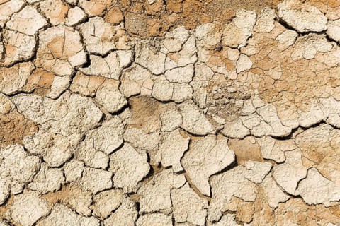 Parched soil
