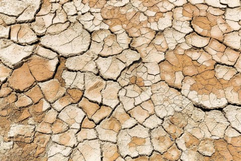 Parched soil