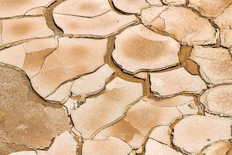 Parched soil