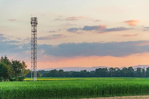 Telecom antenna in countryside in summer at sunset. Alsace