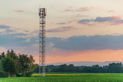 Telecom antenna in countryside in summer at sunset. Alsace