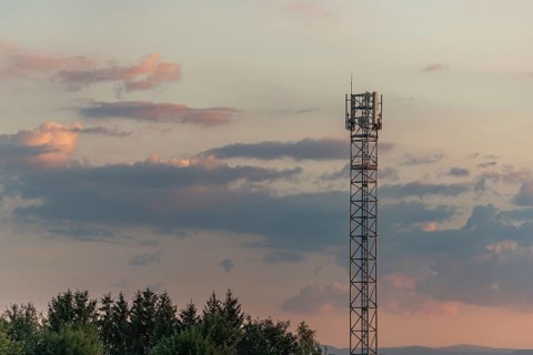 Telecom antenna in countryside in summer at sunset. Alsace
