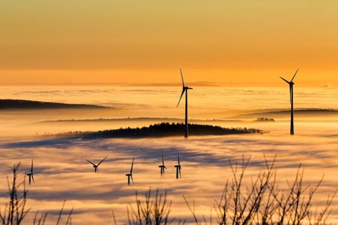 Wind turbines and forest rising from cloud cover