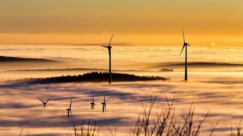 Wind turbines and forest rising from cloud cover