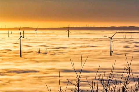 Wind turbines rising from cloud cover