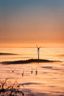 Wind turbines and forest rising from cloud cover