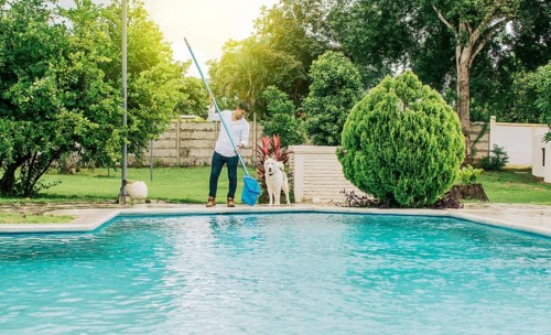 Man cleaning a swimming pool with skimmer