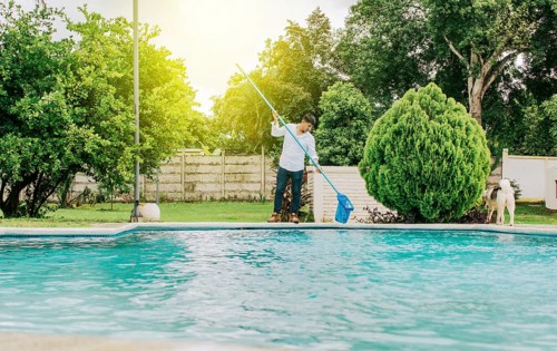 Maintenance person cleaning a swimming pool with skimmer