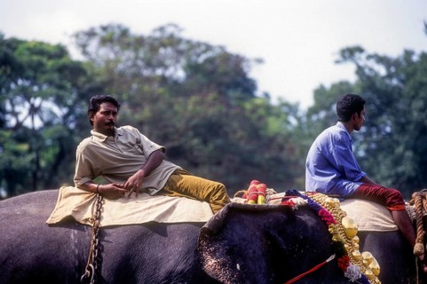 Mahout relaxing on elephant