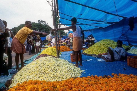 A flower market in plotform during Onam festival in Thrissur or Trichur