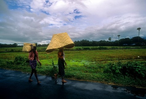 A couple carrying palm leaf basket over their head to cover themselves from rain on the way to Attappadi
