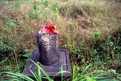A Sivalinga on wayside