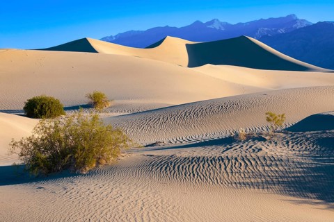 Morning light at the Mesquite Sand Dunes