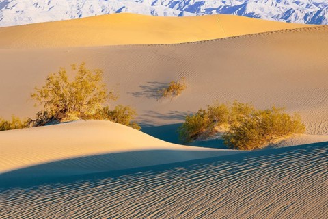 Morning light at the Mesquite Sand Dunes