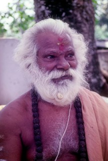 Sadhu