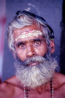 Sadhu